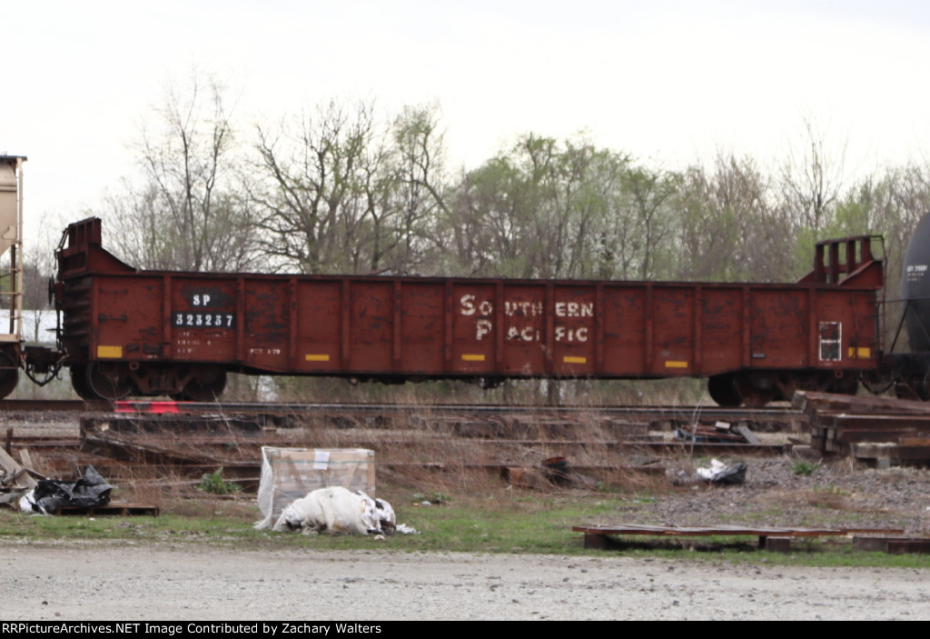 SP 323237